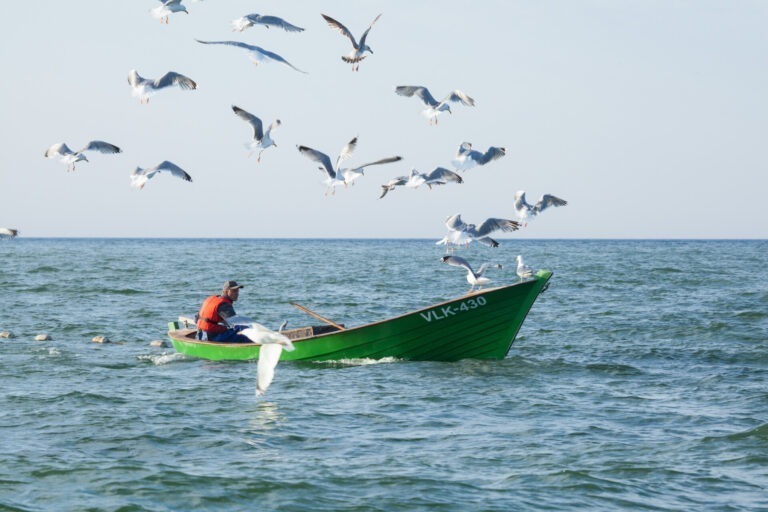 Visit Saaremaa - Kalapaat merel, kajakaparv paadi kohal - foto