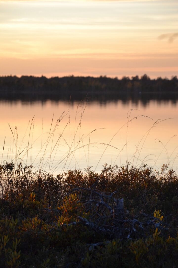 Visit Saaremaa - Koigi raba päikeseloojangul - foto
