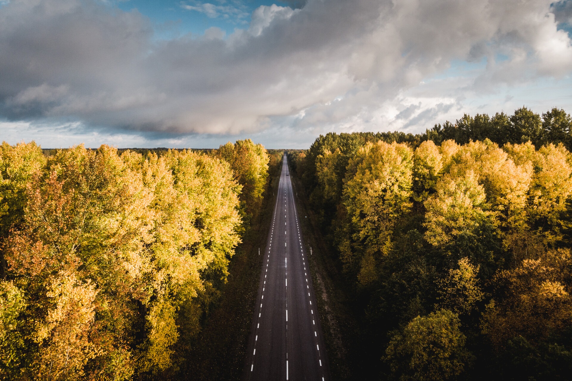 Visit Saaremaa - Maantee metsade vahel - loodusfoto