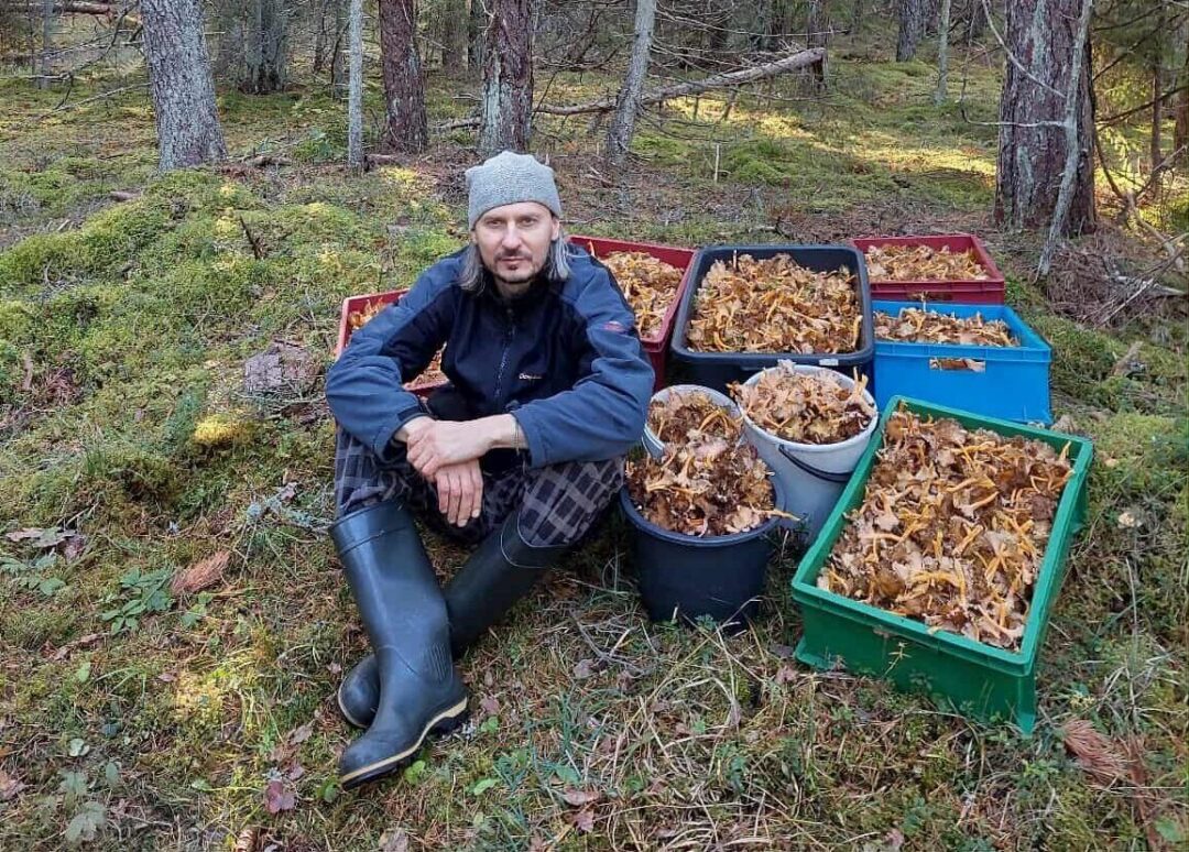 Visit Saaremaa - Meesterahvas seenesaagiga - foto
