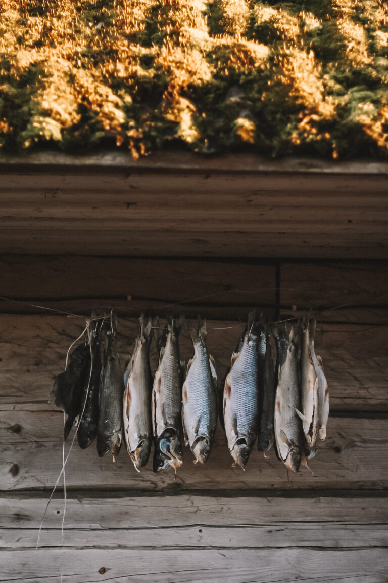 Visit Saaremaa - Fish drying under the roof - photo
