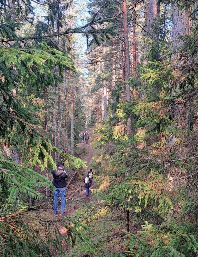 Visit Saaremaa - Hike on Saaremaa Olav Way - photo