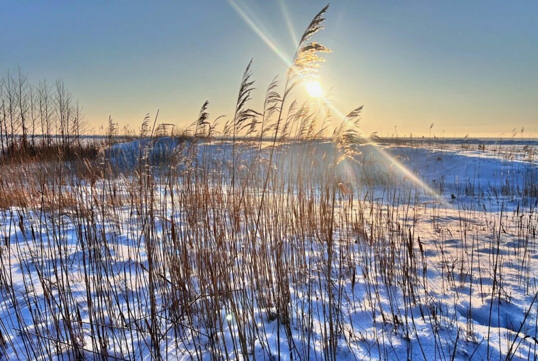 Visit Saaremaa - Talvine loodus Saaremaal - foto