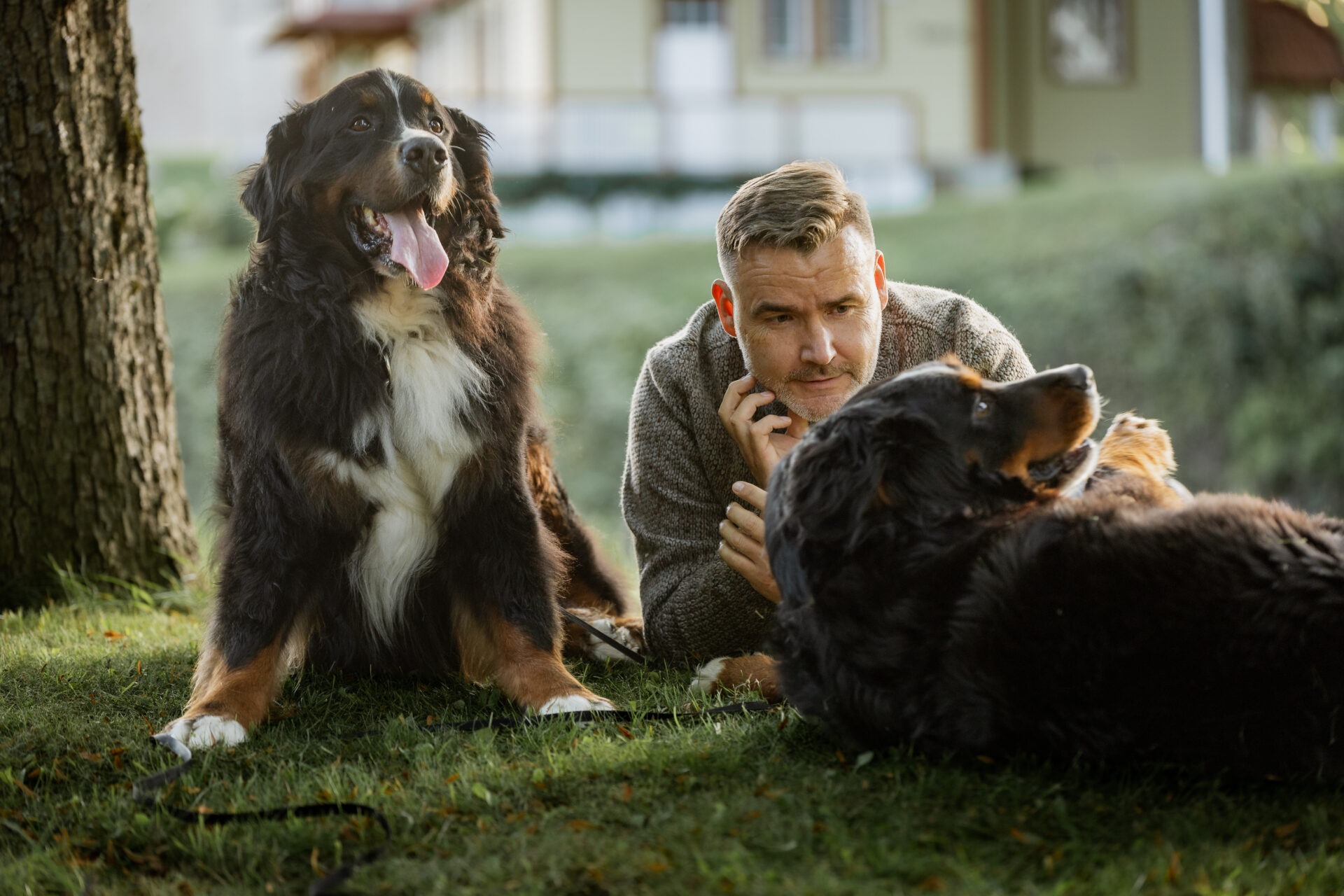 Visit Saaremaa - Jaanuari soovitaja Saaremaa vallavanem Rainer koos oma koertega - foto