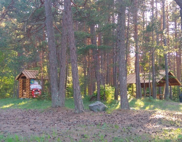 Visit Saaremaa - Triigi camping place - photo